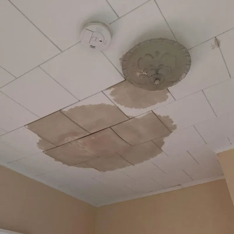Ceiling Water Damage Repair in Bayside, CA
